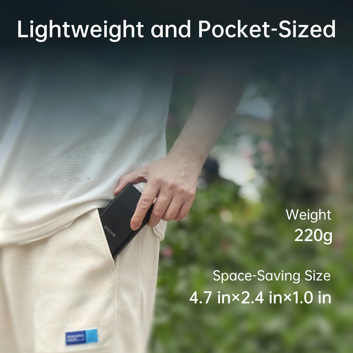 GOOVIS Type-C Hub + Powerbank